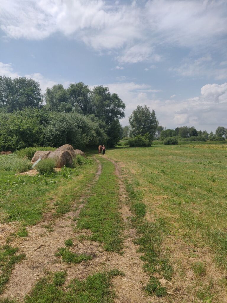 вид на поля та луки в селі